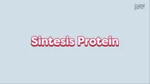 Sintesis Protein - Latihan Soal