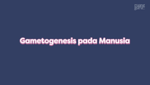 Gametogenesis pada Tumbuhan