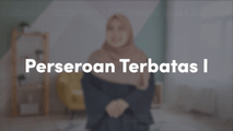 Perseroan Terbatas 1