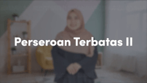 Perseroan Terbatas 2