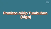 Protista Mirip Tumbuhan (Alga)