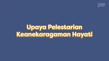 Upaya Pelestarian Keanekaragaman Hayati Indonesia