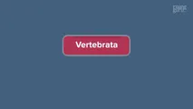 Karakteristik Vertebrata