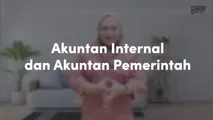 Akuntan Internal dan Akuntan Pemerintah