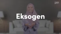 Eksogen