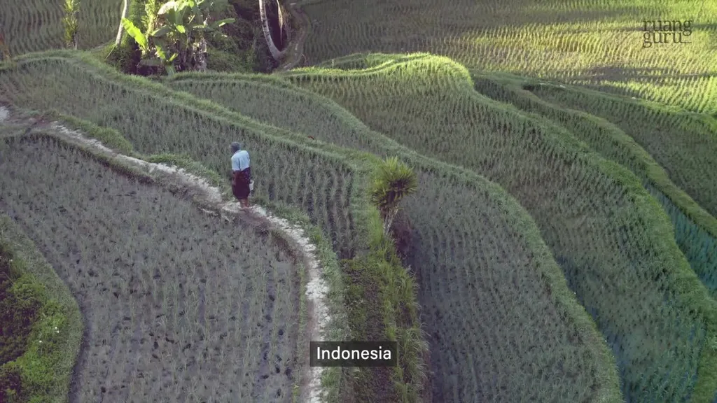 Video Belajar Asal Usul Nenek Moyang Bangsa Indonesia Sejarah Untuk Kelas 10