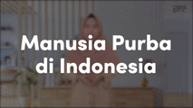 Manusia Purba di Indonesia