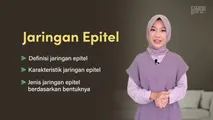 Jaringan Epitel