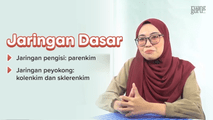 Jaringan Dasar