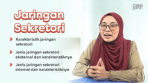 Jaringan Sekretori