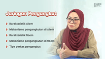 Jaringan Pengangkut