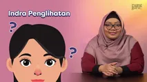 Indra Penglihatan dan Gangguannya