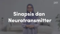 Sinapsis dan Neurotransmitter