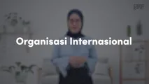 Organisasi Internasional