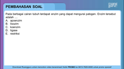 Pembahasan