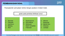 Pembahasan