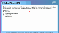 Pembahasan