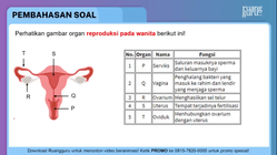 Perhatikan gambar organ reproduksi pada wanita ber...