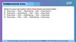 Pembahasan
