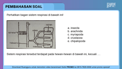 Pembahasan