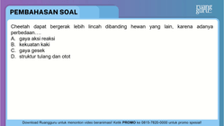 Pembahasan