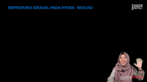 Reproduksi Seksual pada Hydra