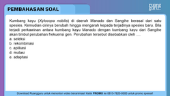 Pembahasan
