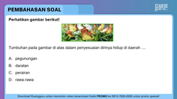 Pembahasan