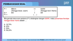 Pembahasan