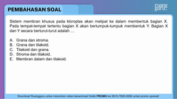 Pembahasan