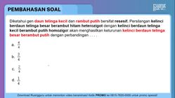 Pembahasan