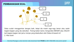 Pembahasan
