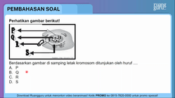 Pembahasan