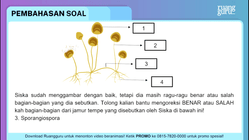 Pembahasan