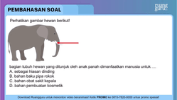 Pembahasan