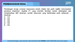 Pembahasan