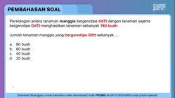 Pembahasan