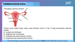 Pembahasan
