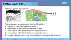 Pembahasan