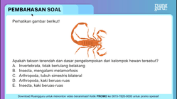Pembahasan