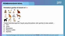 Pembahasan
