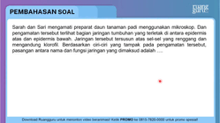 Pembahasan