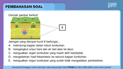 Pembahasan