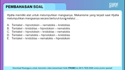 Pembahasan