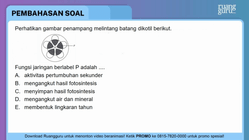 Pembahasan