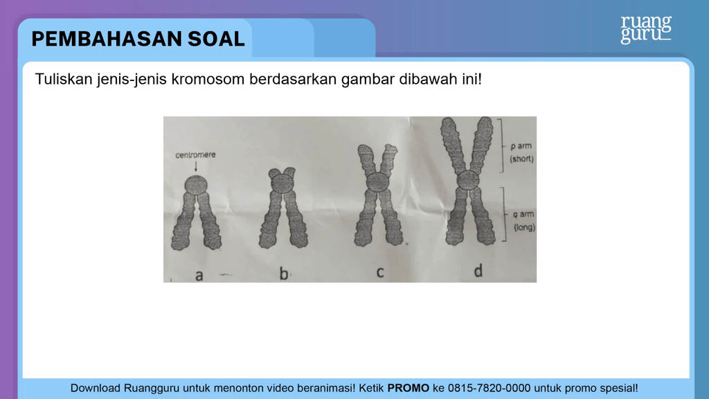 Gambar di berdasarkan letak adalah samping sentromernya pada kromosom Jelaskan jenis