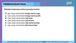Pembahasan