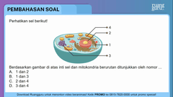 Pembahasan