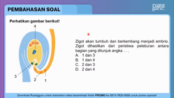 Pembahasan