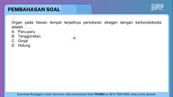 Pembahasan